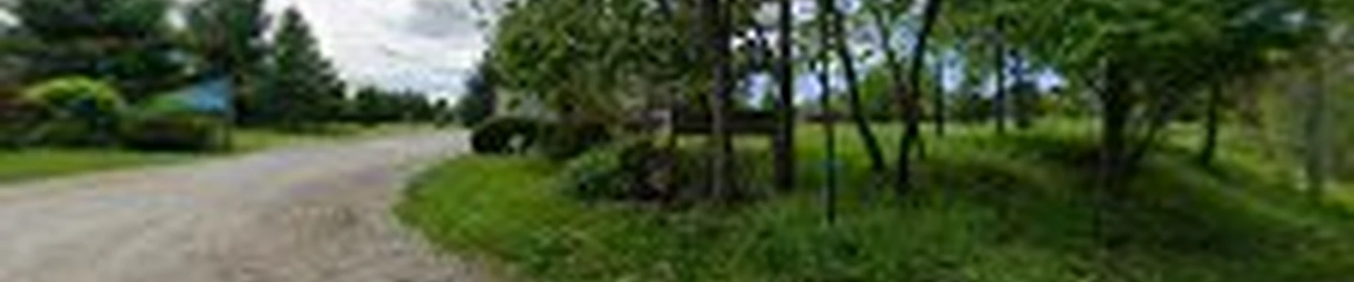Hartwick Tree and Wood Ltd