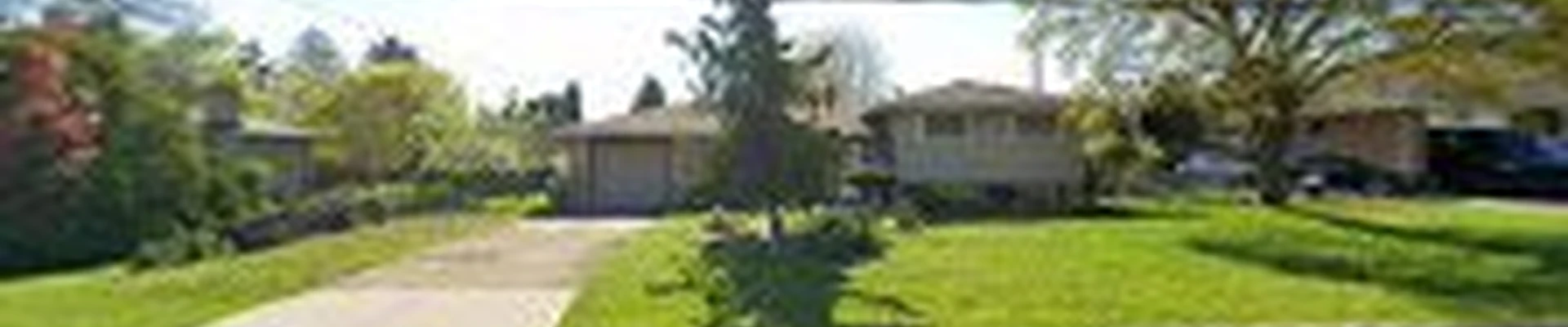 Amir Tree Services Inc.