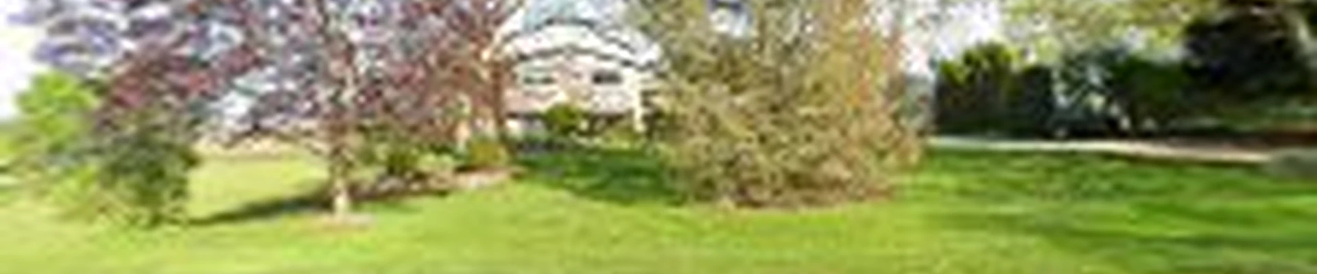 Twenty Valley Tree Service