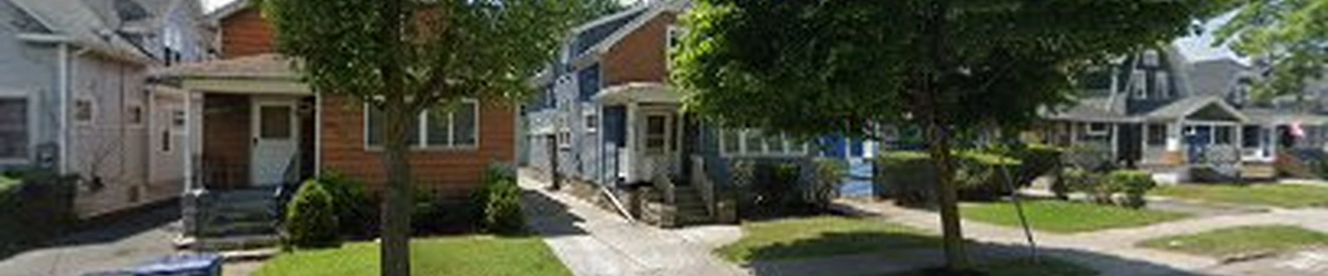 Apex Canopy Tree Service