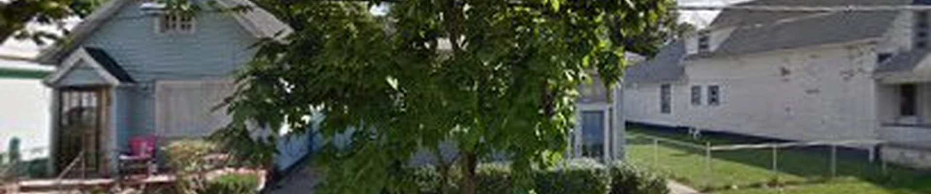TreeLine Experts