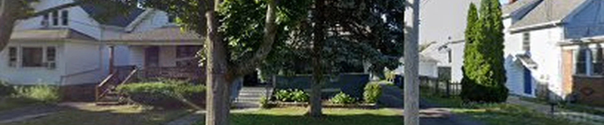 Apex Oak Tree Care