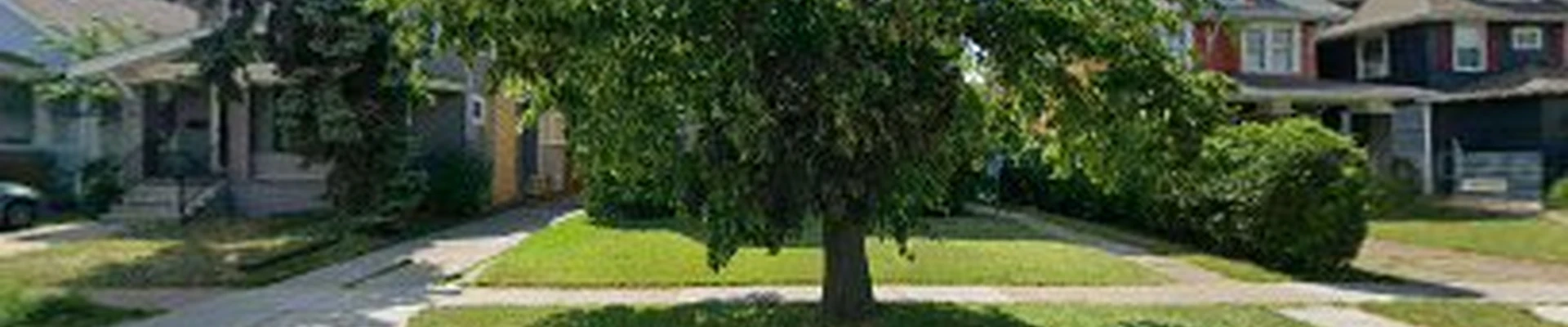 Guardian Oak Tree Experts