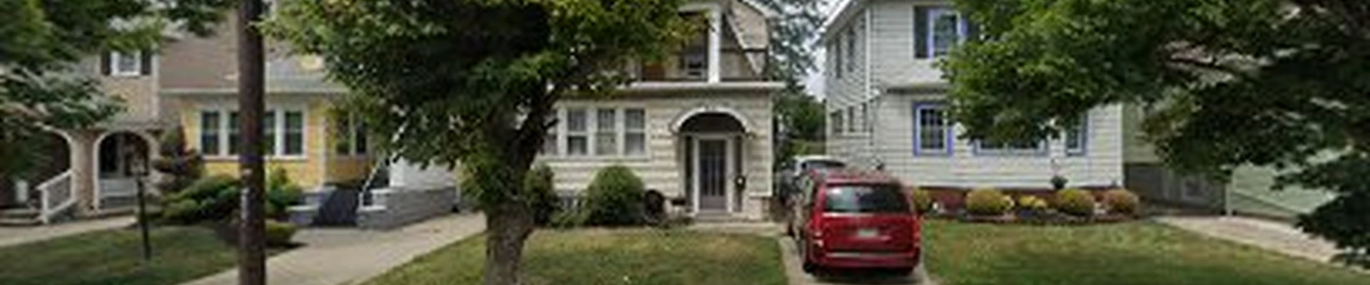 Tall Crown Tree Experts