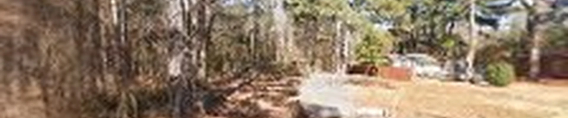 Affordable Stump Grinding NC