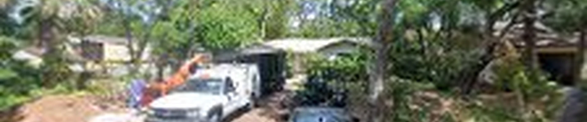 Elite Quality Tree & Stump-Grinding Llc