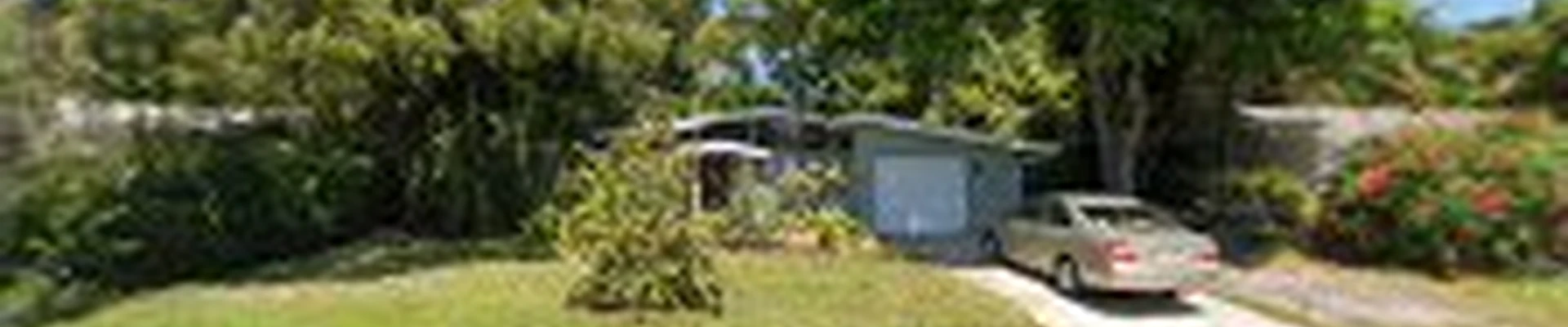 Affordable Tree Service