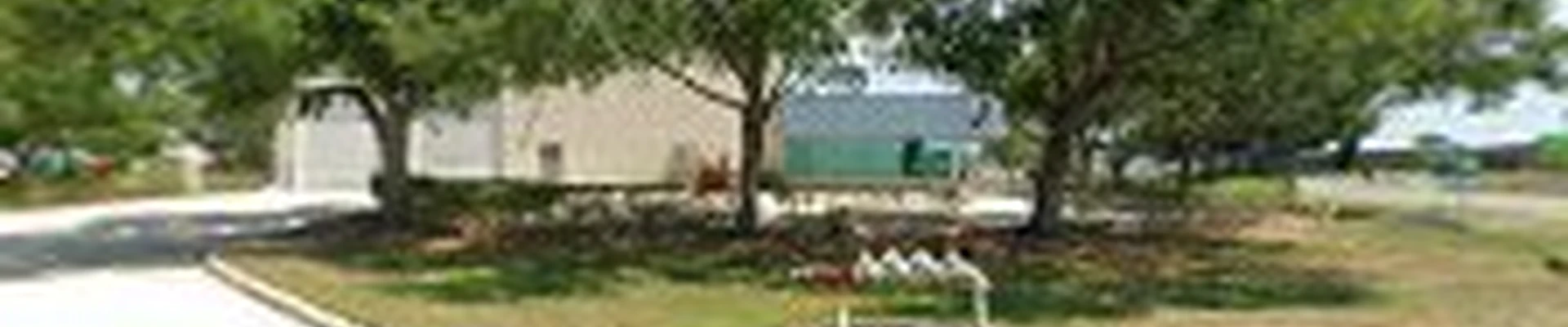 Castillo Tree & Lawn Service Inc