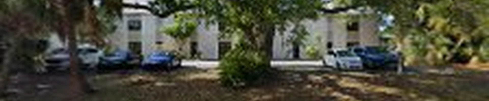 SavATree - Tree Service