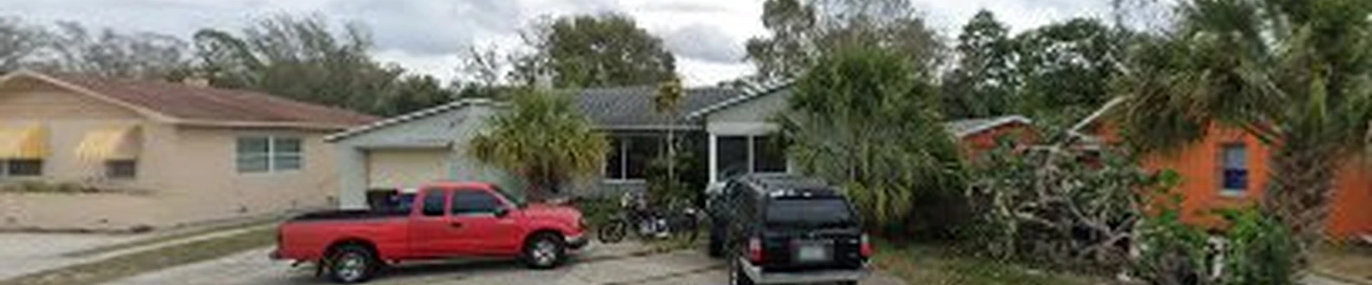 Expert Tree Services of Clearwater