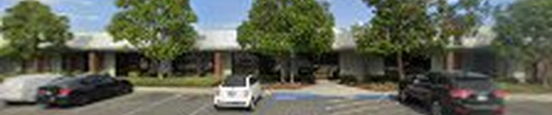 American Arbor Tree Service