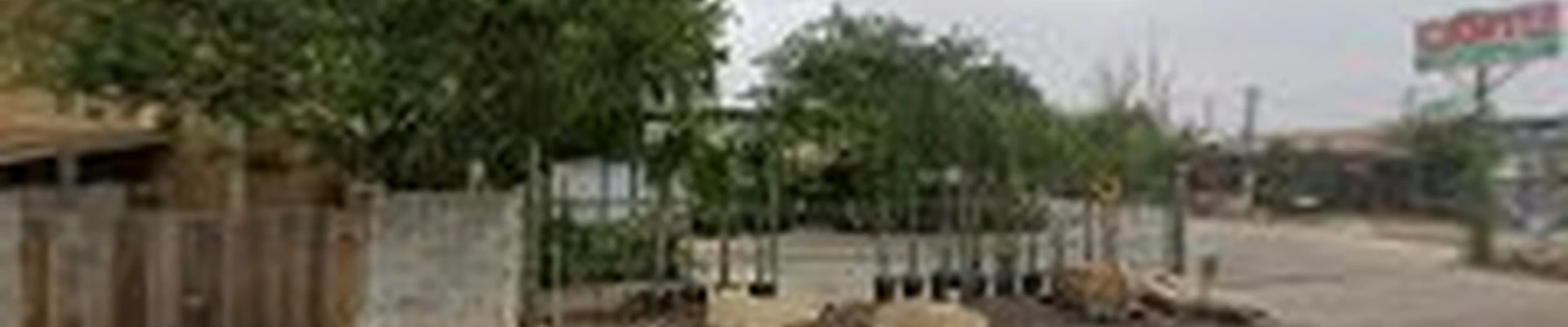 Cantu Garden Center