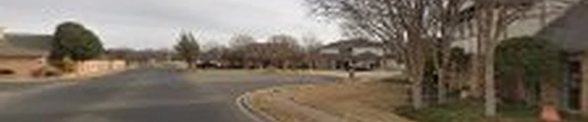 Westbrook Tree Trimming Lubbock