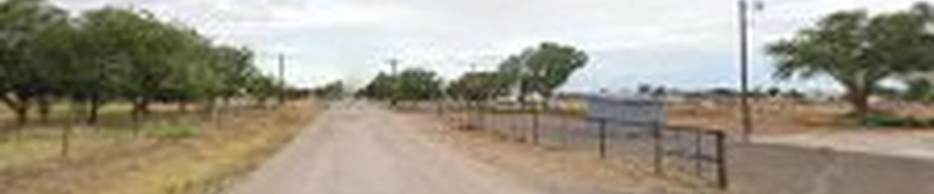 Caprock Tree Removal