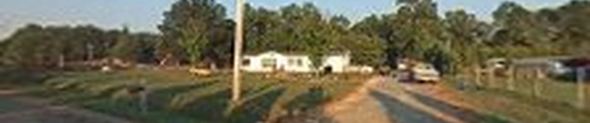 Triad Tree Service