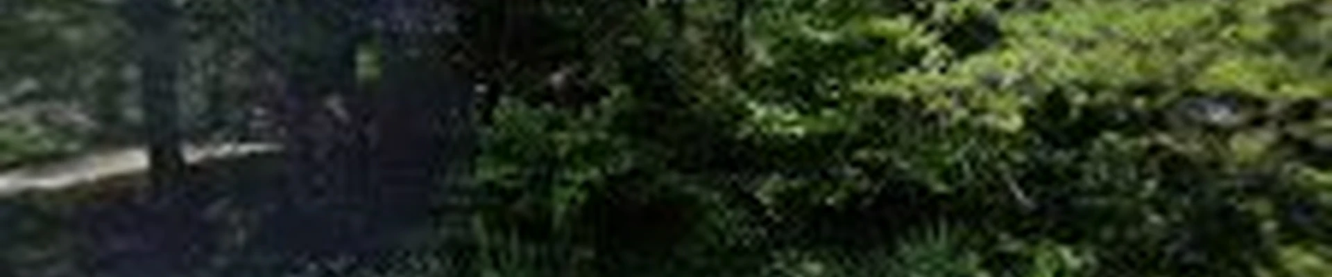 Grimmett Tree & Land Clearing