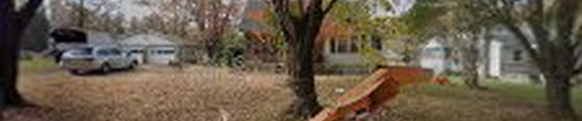 Select tree service