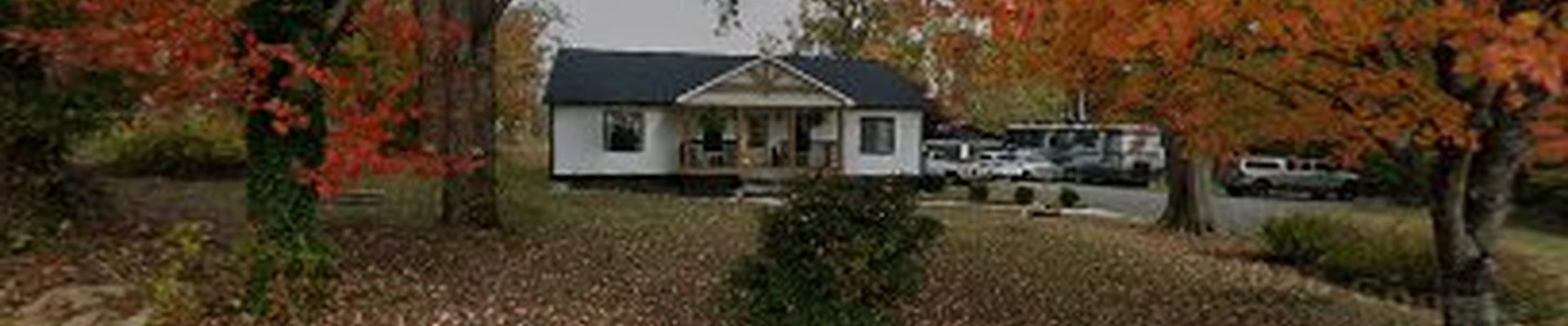 Martin & Son Tree Service