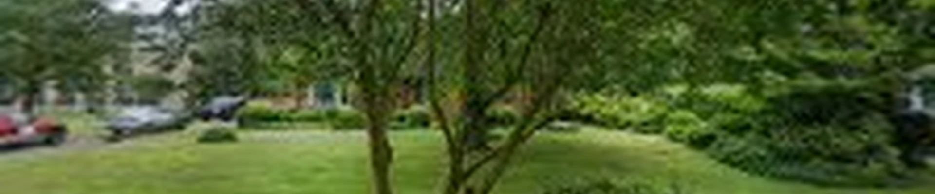 All Access Stump Removal Inc