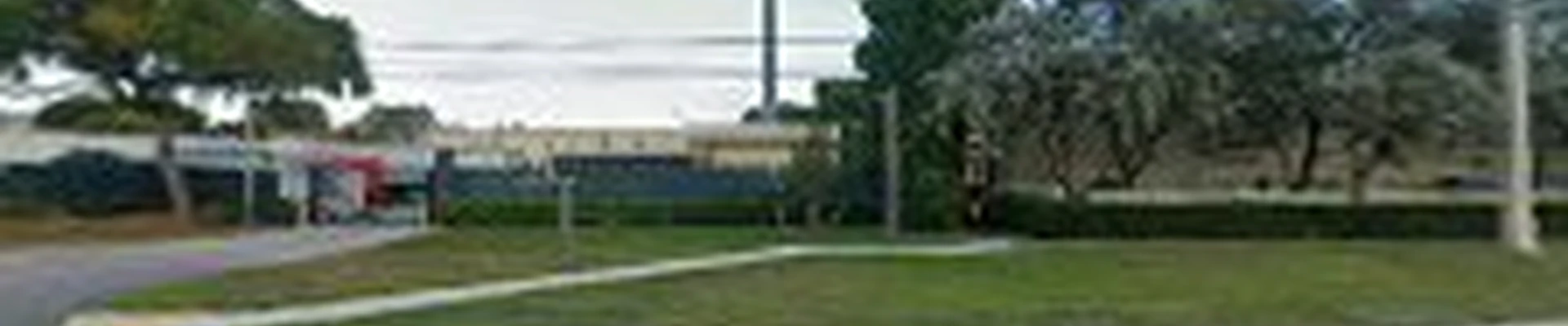 Tree Motion