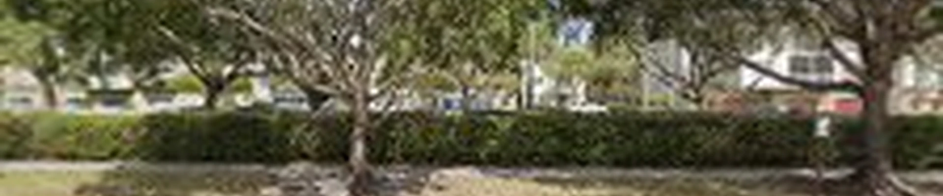 Geometree Tree service