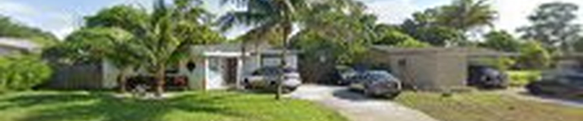 Ottey Tree Services