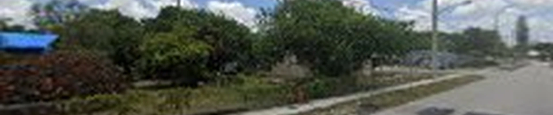 Palmer Brothers Tree Service