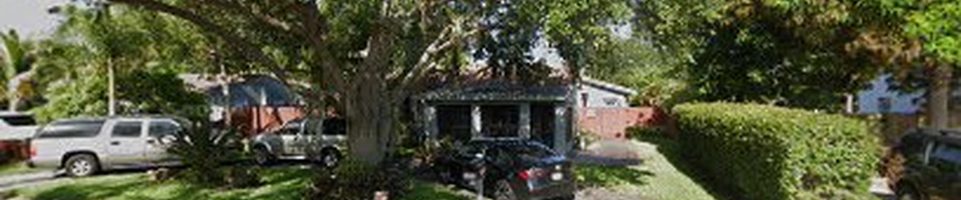 T Alexandre Tree Service