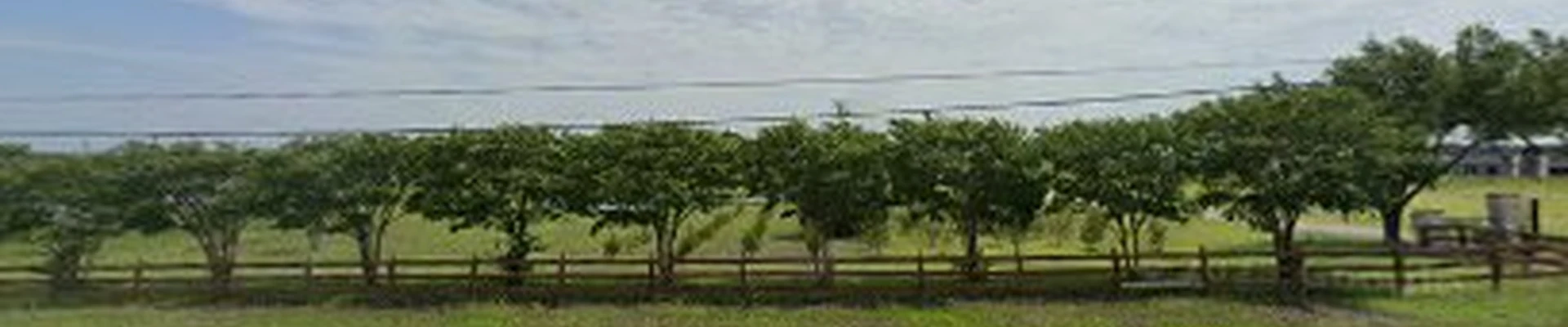 Port A Tree