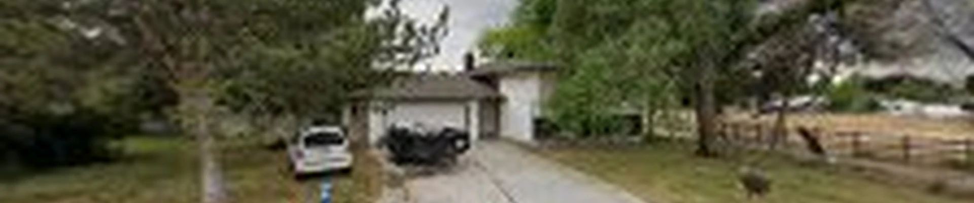 A Cut Above Tree Service