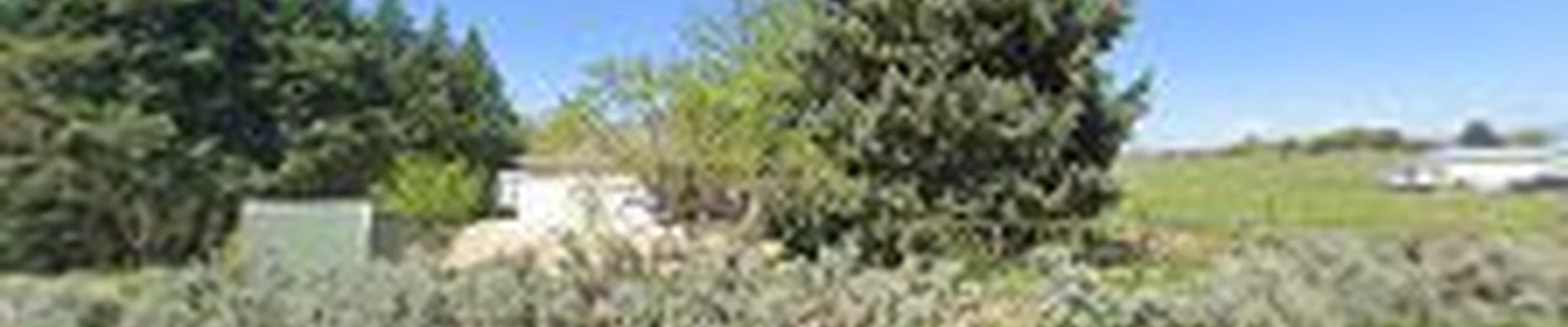 American Tree & Shrub, Inc.