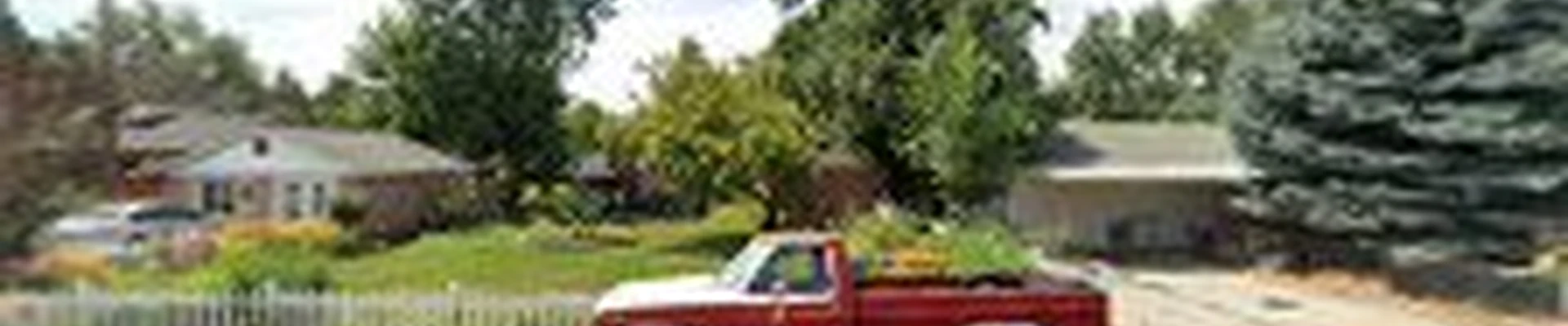 City Of Treez Tree Service LLC