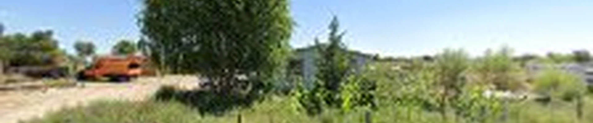 Velasquez Tree Service LLC