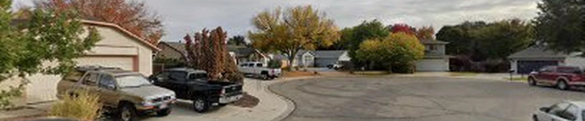 Express tree care