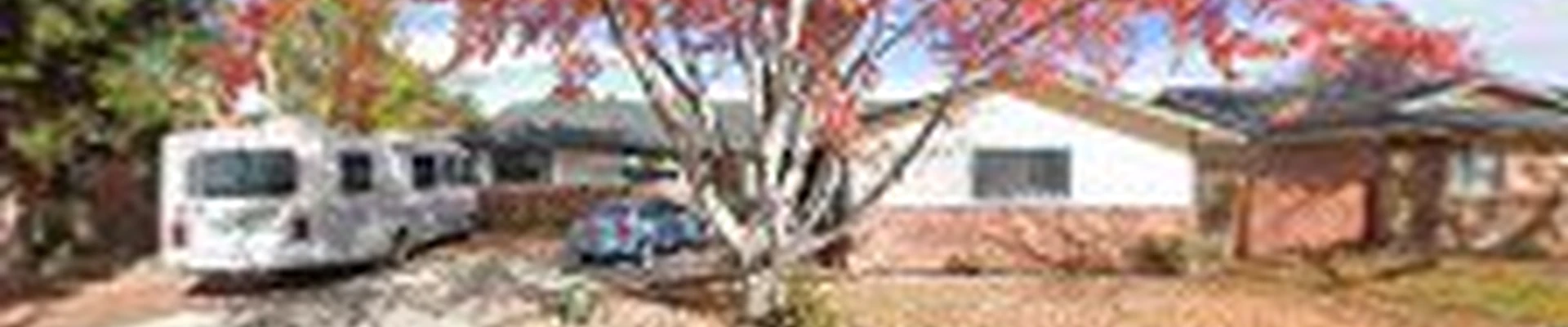 Aloha Tree Care