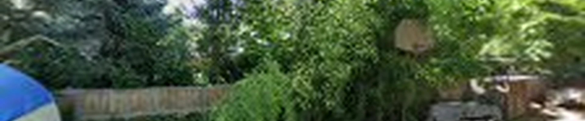 Idaho Tree Professionals