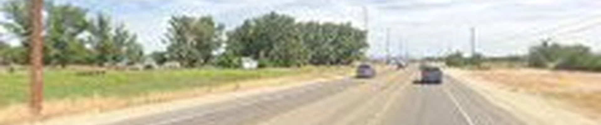 Sager Professional Tree Management
