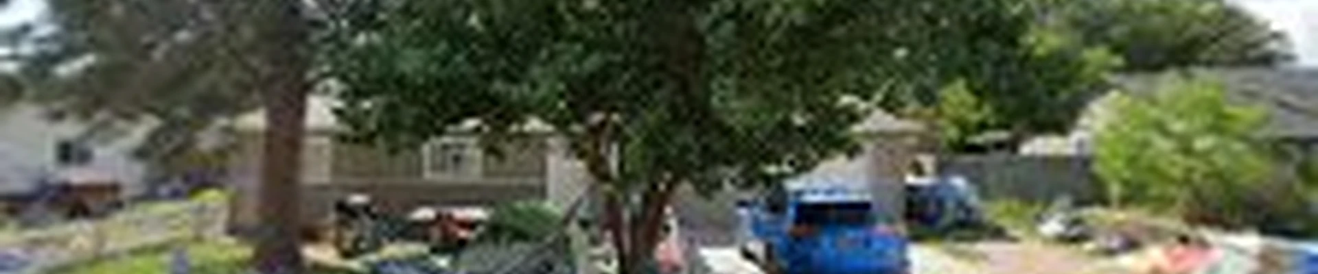 Keene Tree Services