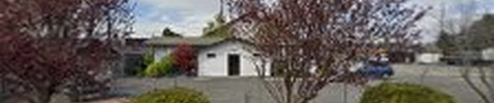 Spokane Tree Pro