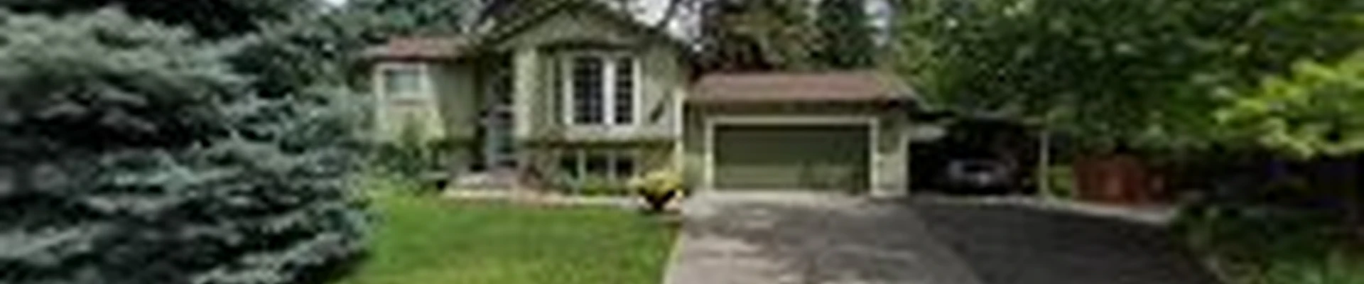 AP Tree Service
