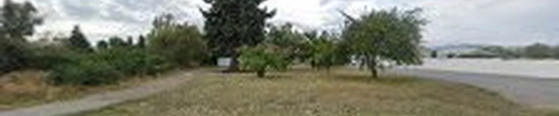 Don Taylor Tree Services, INC.
