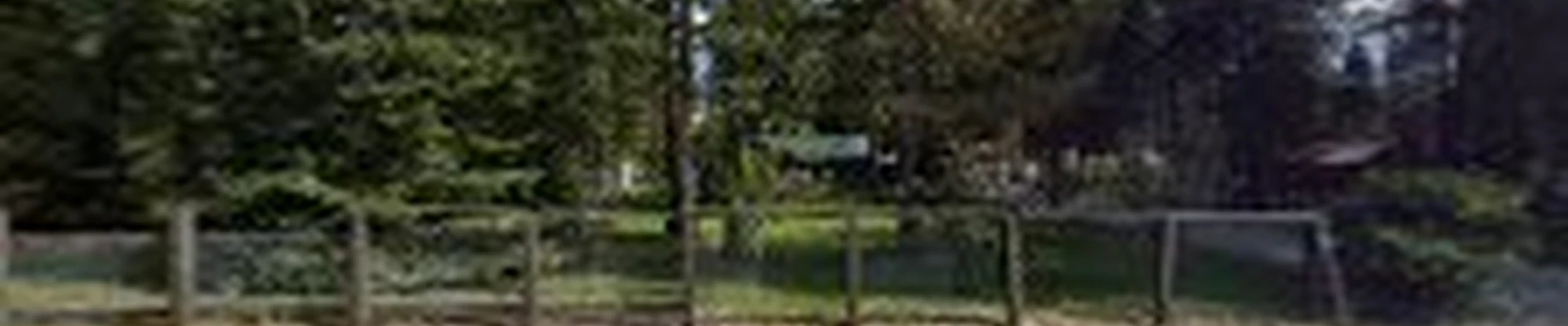 Mountain View Tree Service