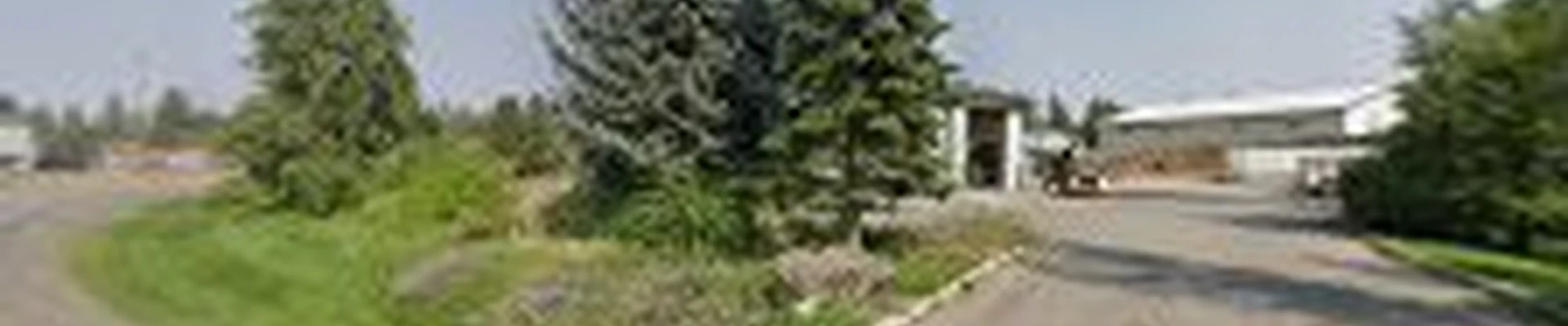 Specialty Tree Services