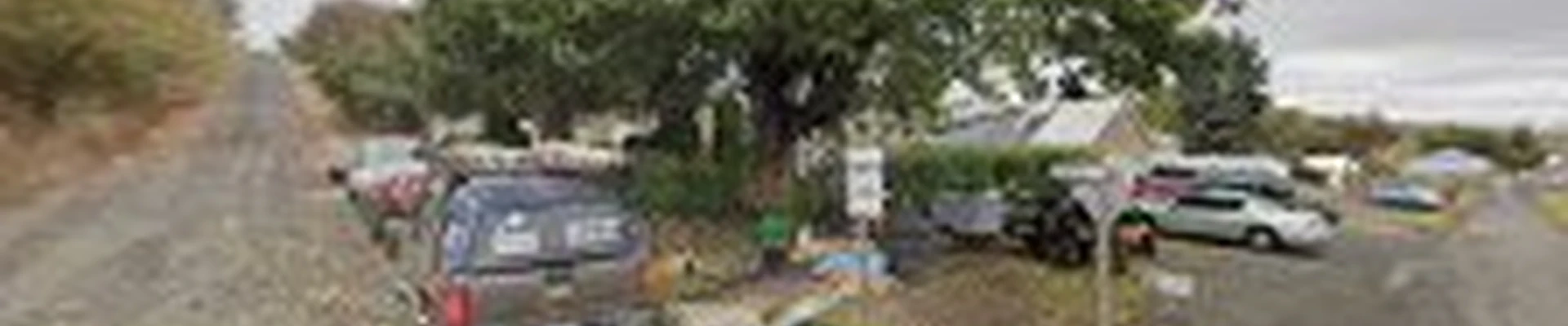 Jeske Tree service