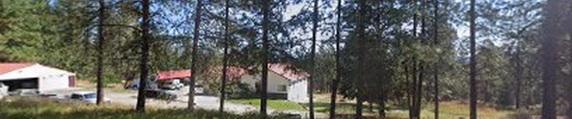 Black Diamond Lawn & Tree Care