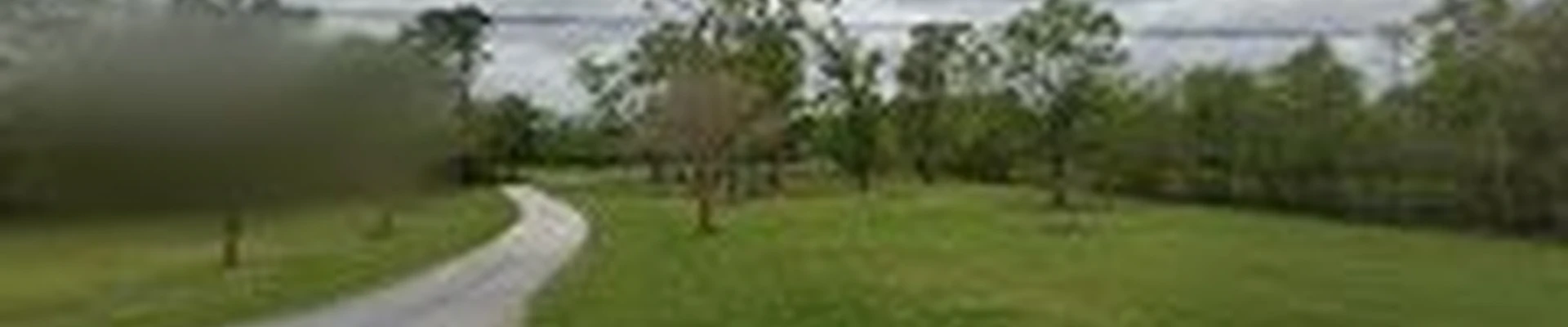 Diversified Tree Company