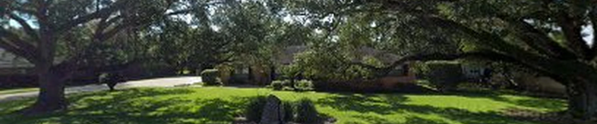 Woodson Tree