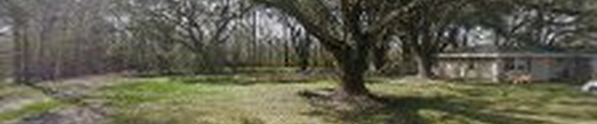 ABC TREE CO.