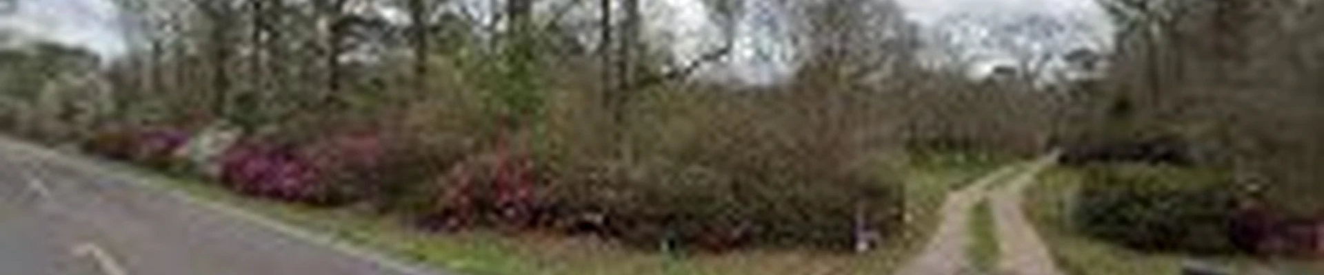 Feliciana Tree Service