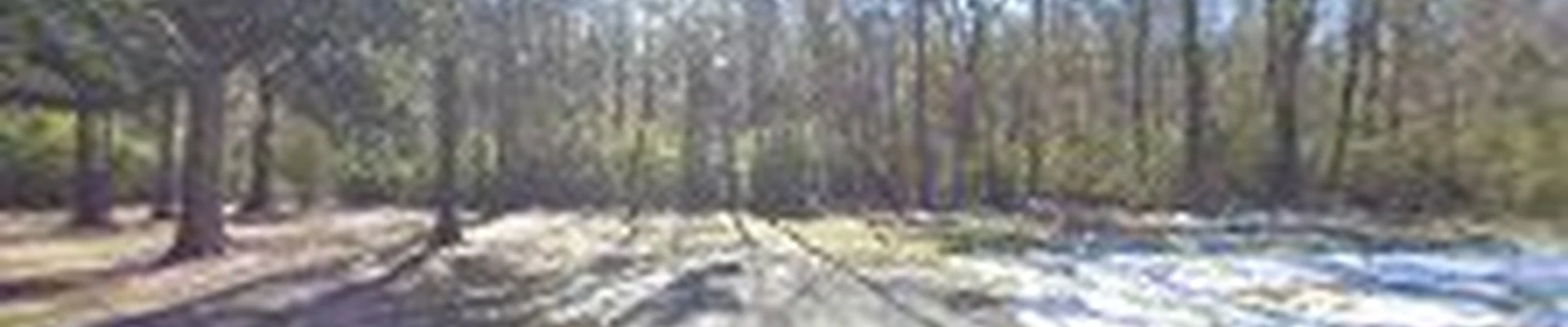 Gregalls Tree Service